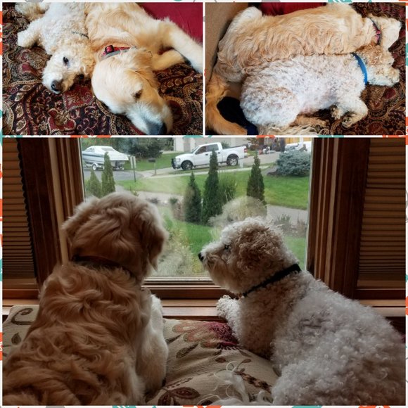 Meet your Posher, Carrie - Picture 15 of 15